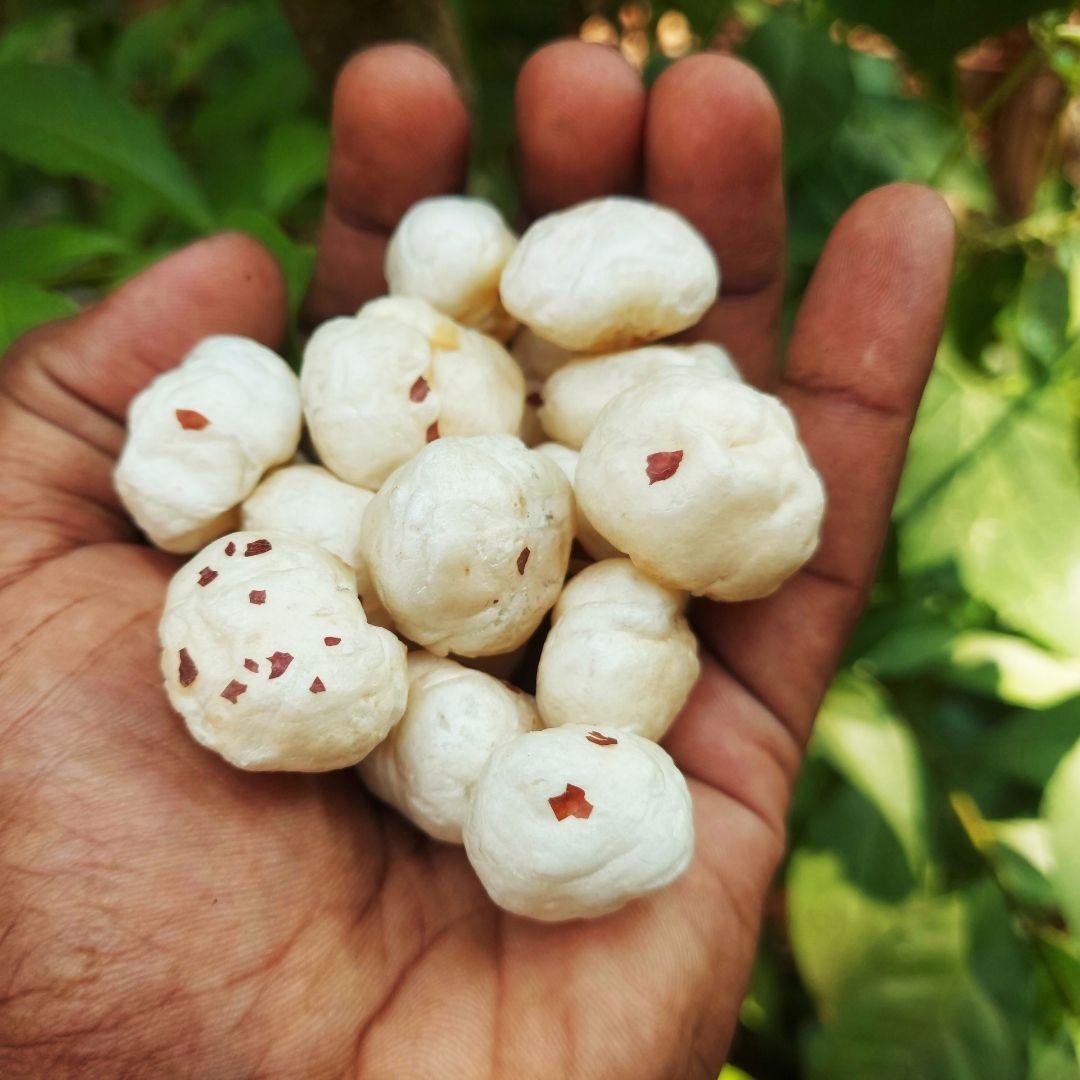 Fox Nuts (Phool Makhana) | Makhana