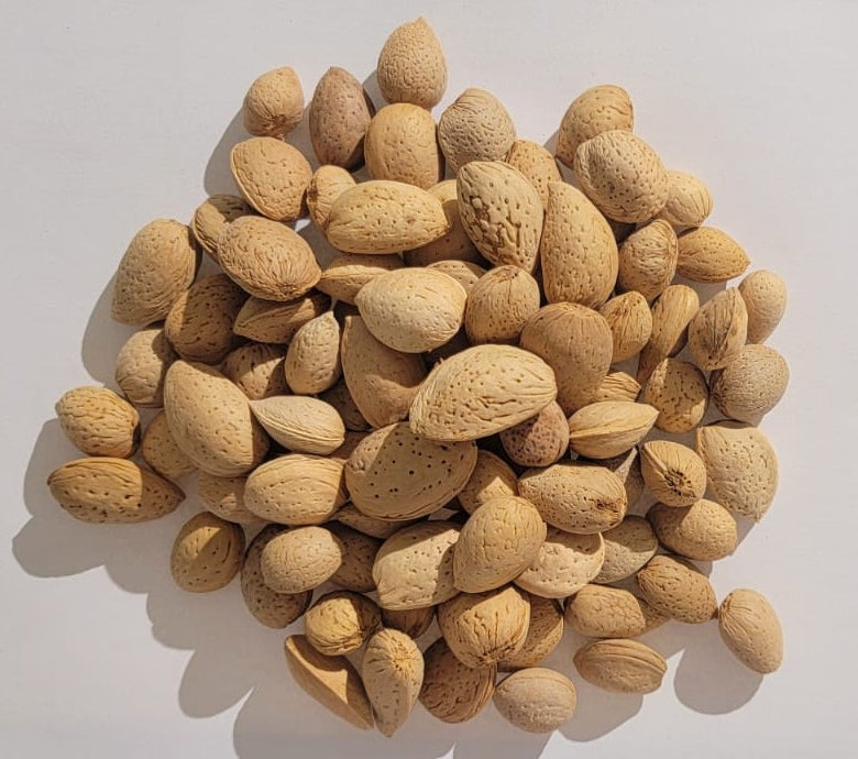 Almonds Katha | Badam