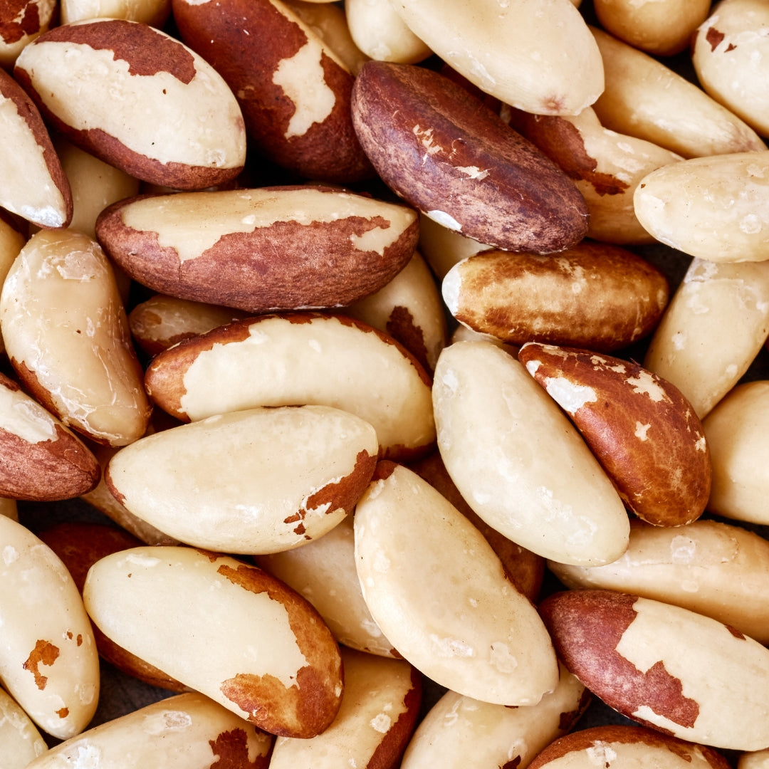 Brazil Nut | Brazil Nut