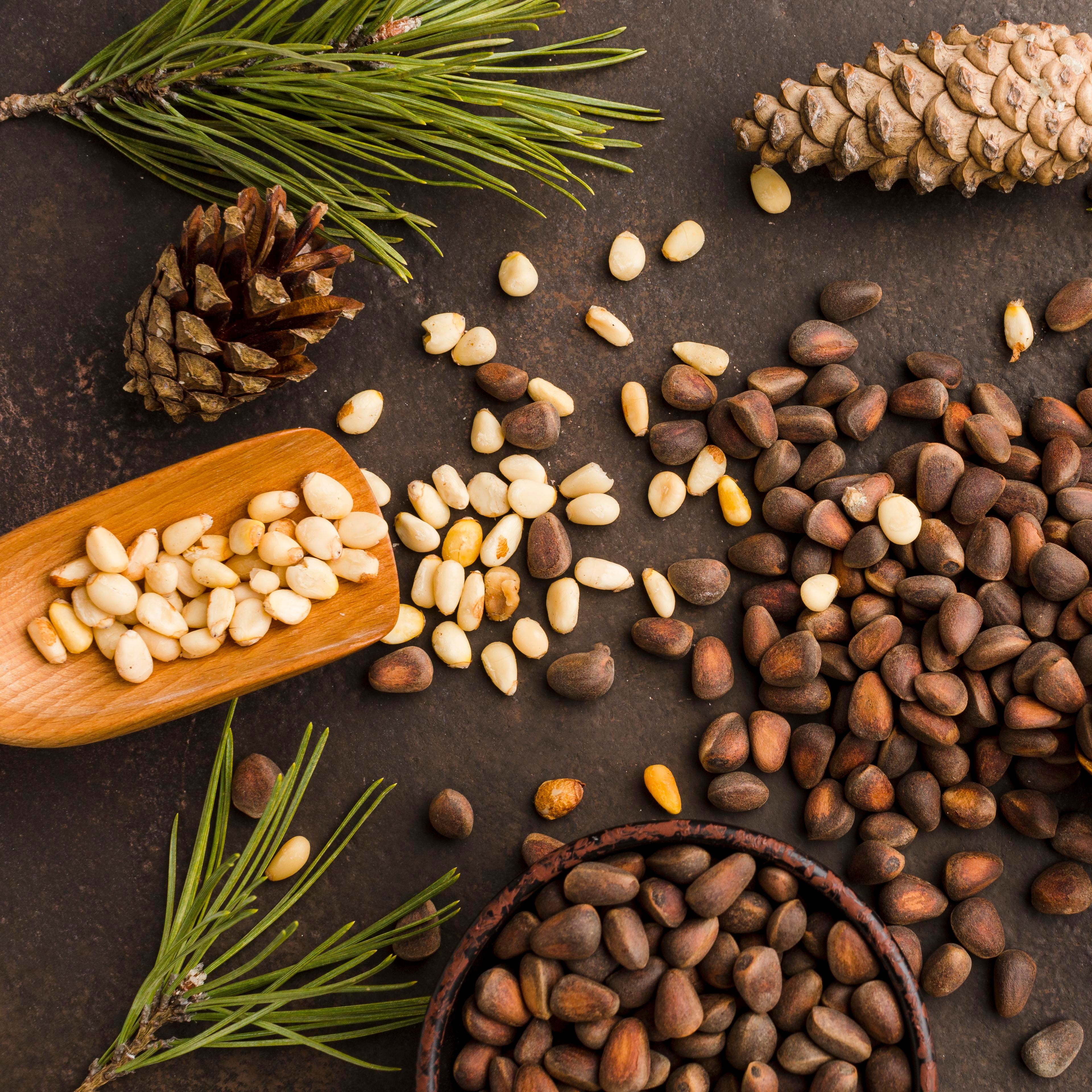 Pine Nuts without shell (chilgoza) | Chilghoza