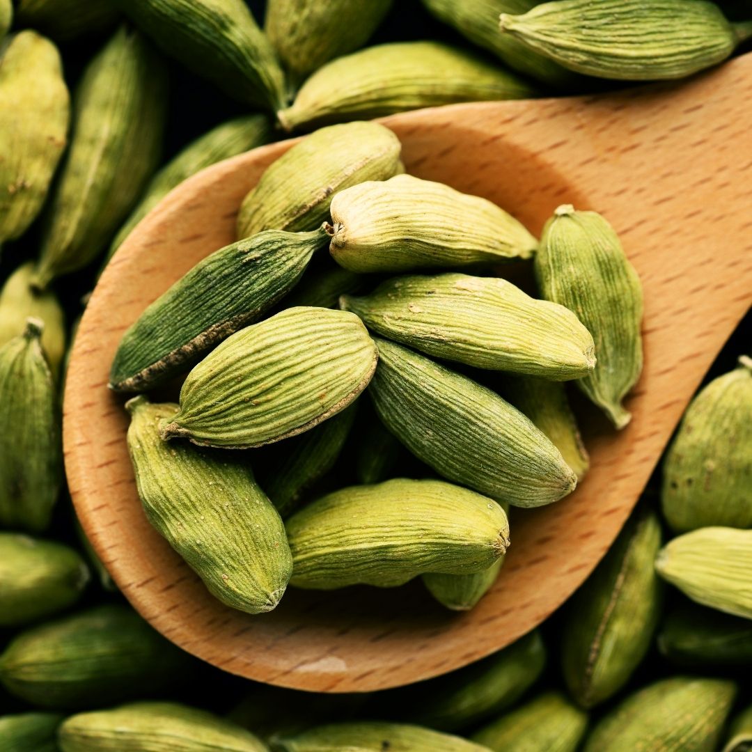 CARDAMOM - L (Elaichi) | Elaichi