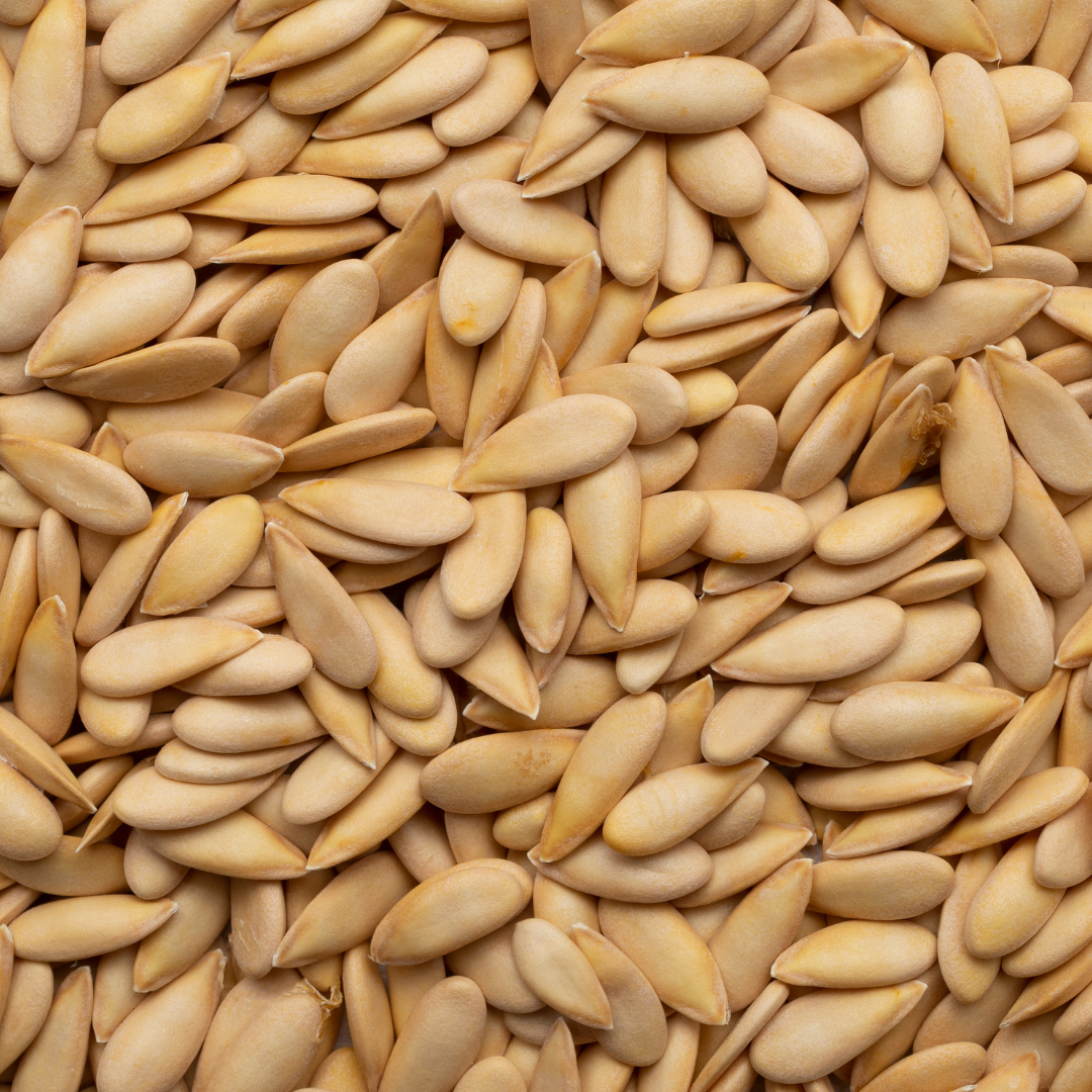 MELON SEEDS | (CHAR MAGAZ)