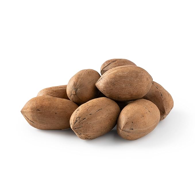 Pecan Nuts | Pekan