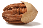 Pecan Nuts | Pekan