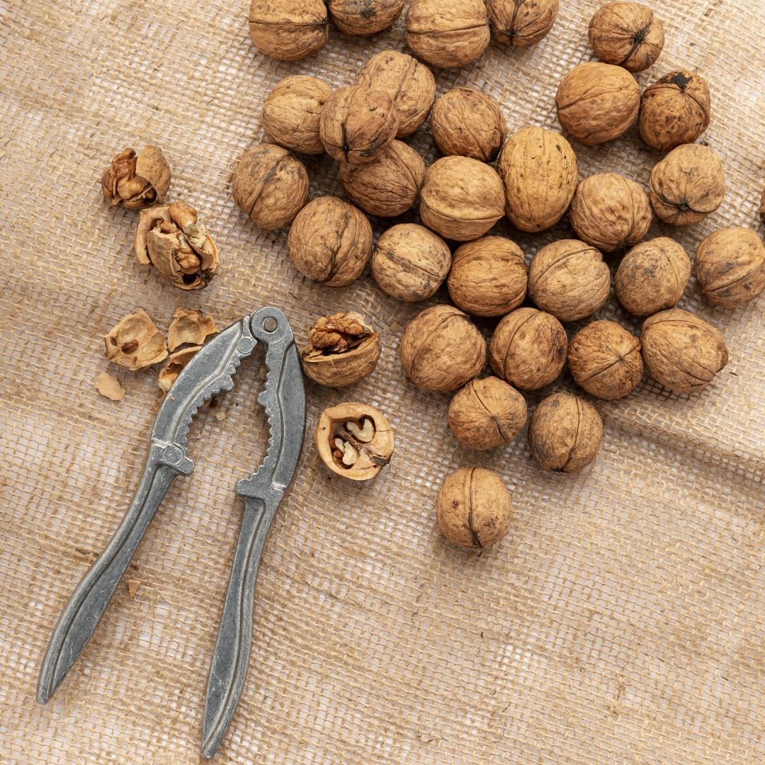 WALNUT with Key | Akhrot
