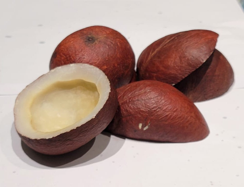 COCONUT (INDIA) | Nariyal Powder