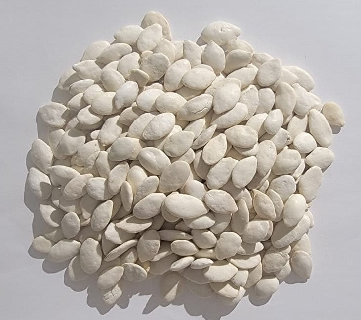 PUMPKIN SEEDS - Round | Kaddoo Beej