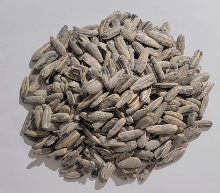 Sunflower Seeds Salted | Surajmukhi Beej